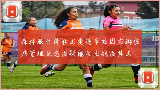 森林狼对阵猛龙爱德华兹因右脚伤病管理状态成疑能否出战成焦点